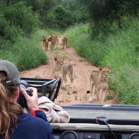 Hotel Ndzuti Bush Camp Balule Game Reserve Zewnętrze zdjęcie