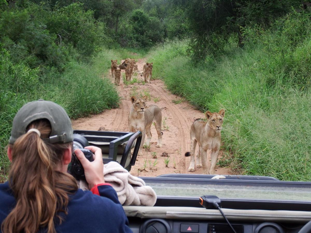 Hotel Ndzuti Bush Camp Balule Game Reserve Zewnętrze zdjęcie
