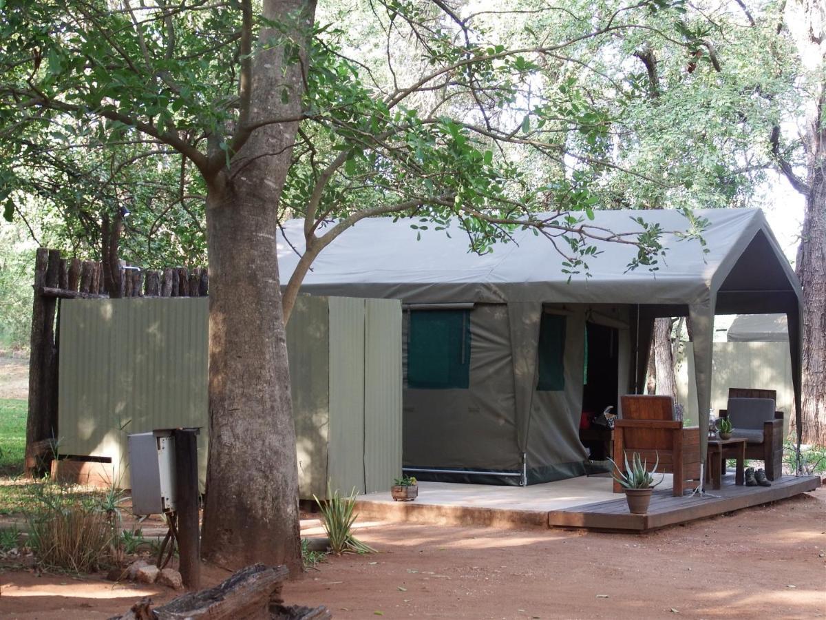 Hotel Ndzuti Bush Camp Balule Game Reserve Zewnętrze zdjęcie