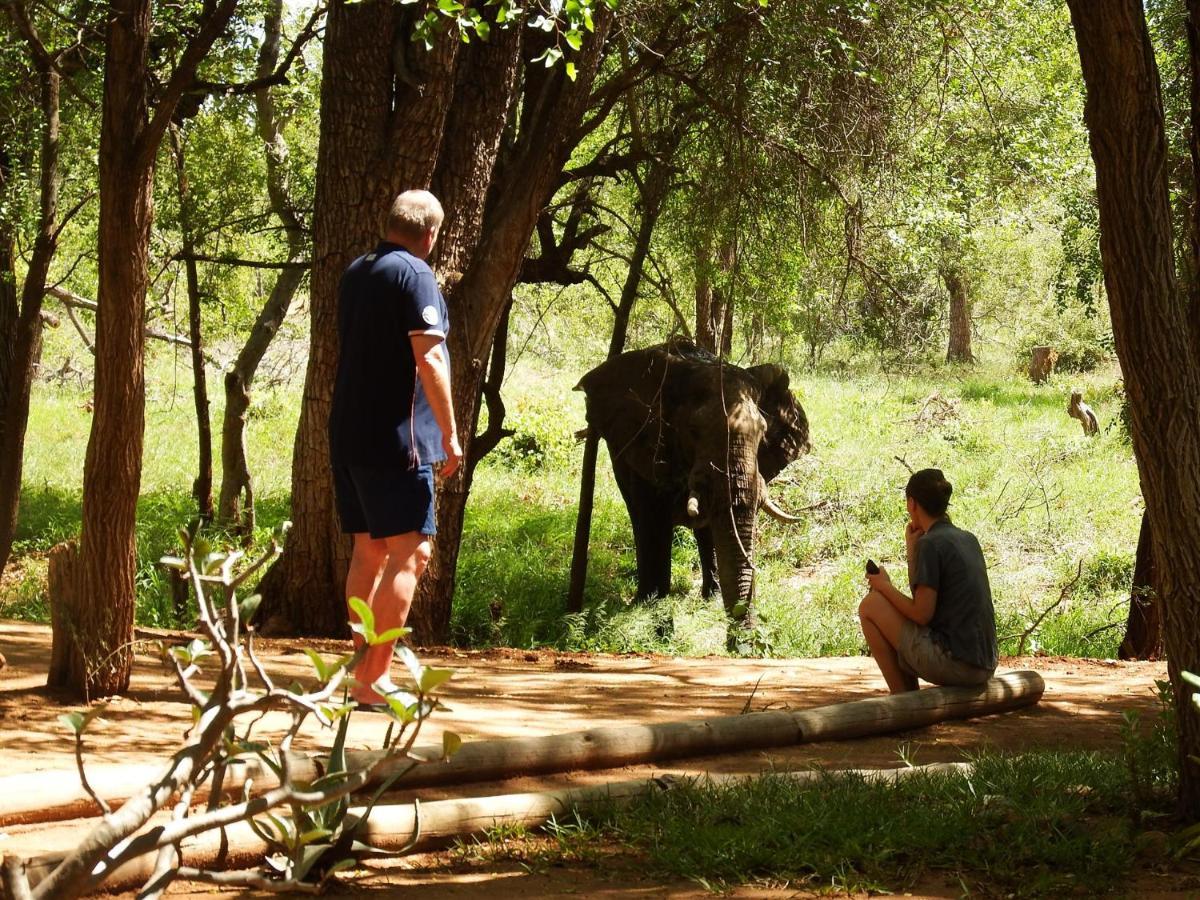Hotel Ndzuti Bush Camp Balule Game Reserve Zewnętrze zdjęcie
