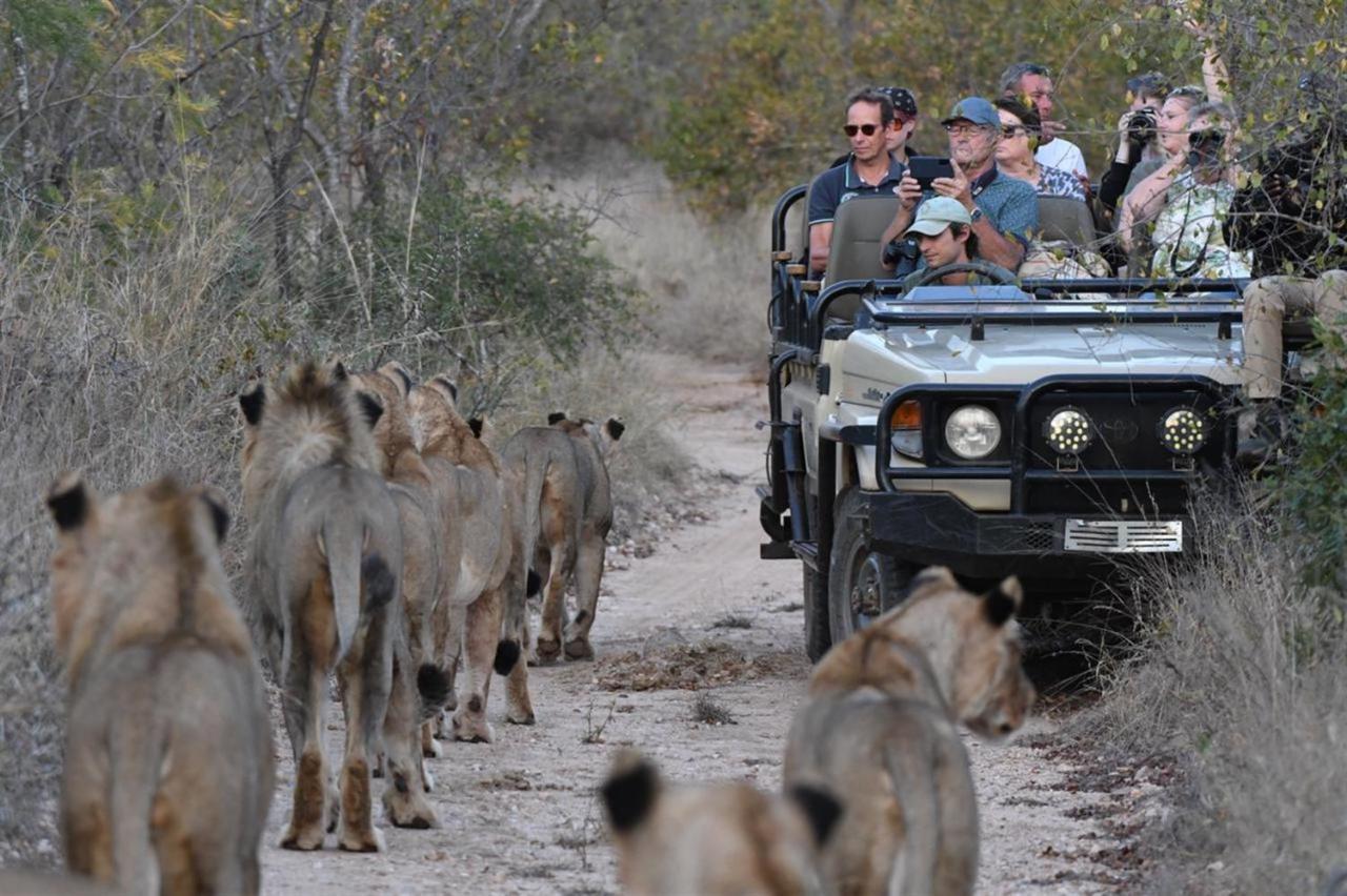 Hotel Ndzuti Bush Camp Balule Game Reserve Zewnętrze zdjęcie