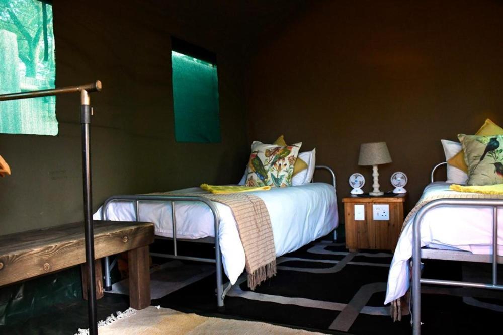 Hotel Ndzuti Bush Camp Balule Game Reserve Zewnętrze zdjęcie