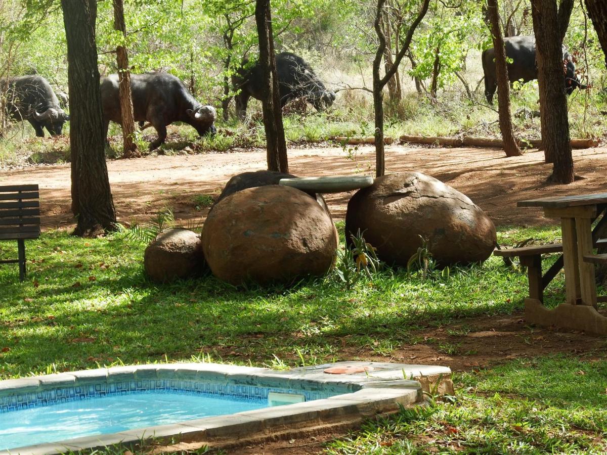 Hotel Ndzuti Bush Camp Balule Game Reserve Zewnętrze zdjęcie