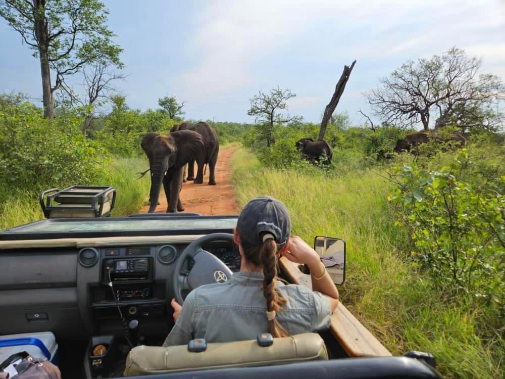 Hotel Ndzuti Bush Camp Balule Game Reserve Zewnętrze zdjęcie