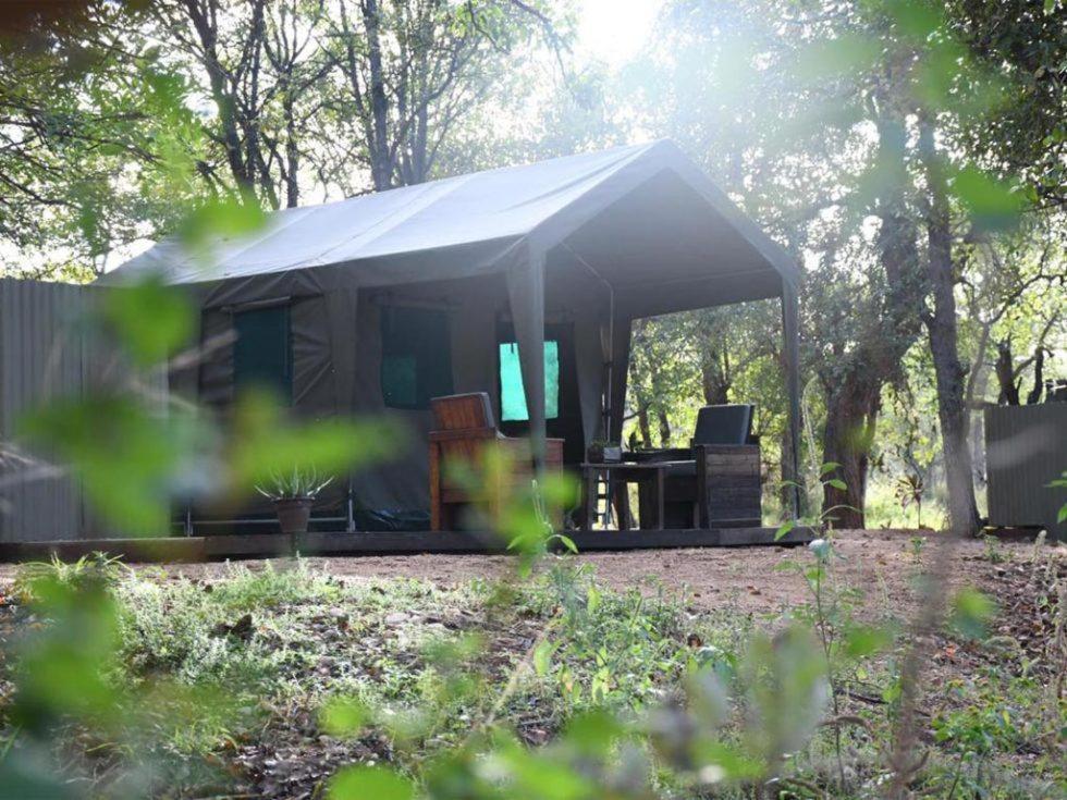 Hotel Ndzuti Bush Camp Balule Game Reserve Zewnętrze zdjęcie