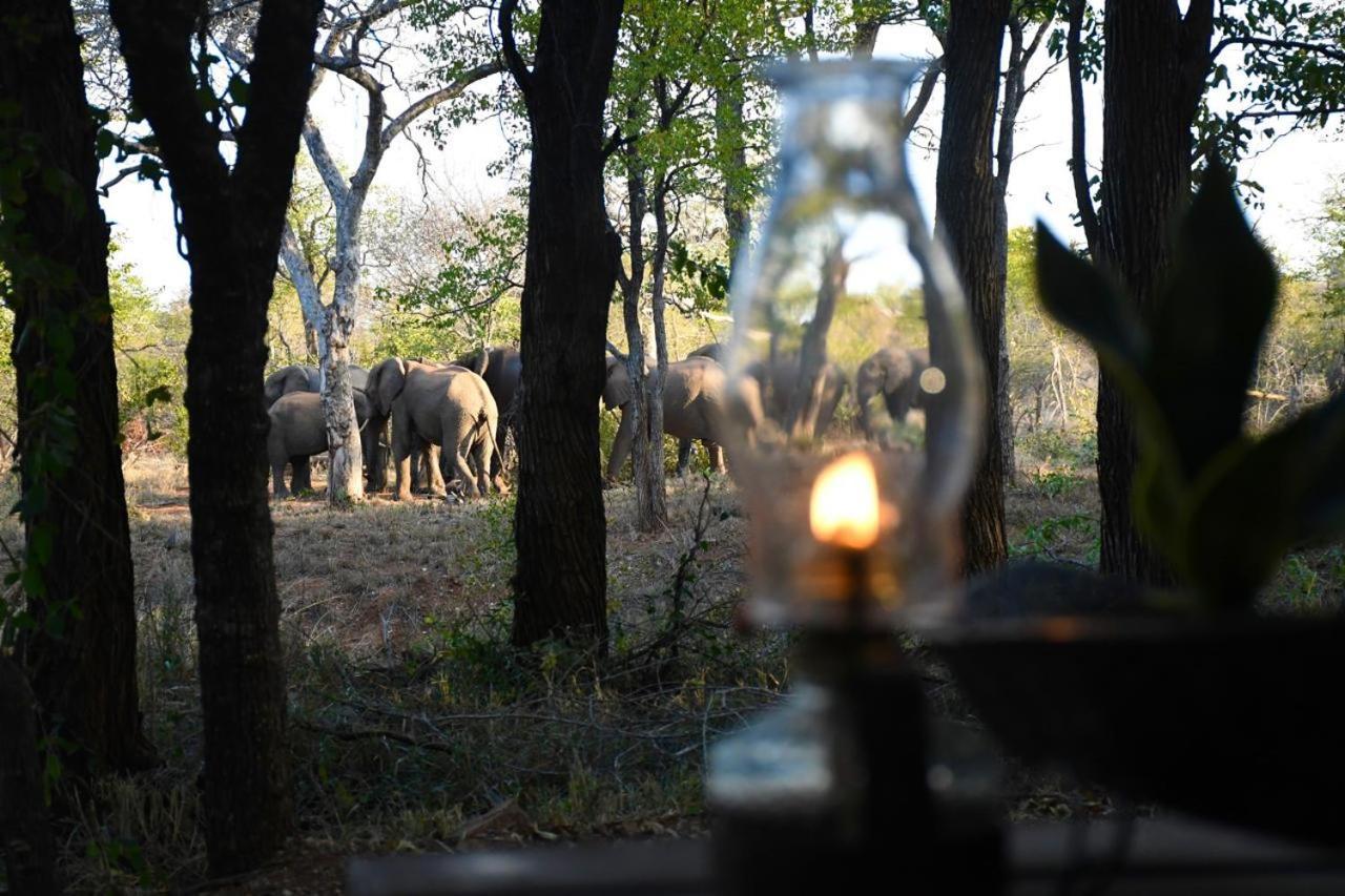 Hotel Ndzuti Bush Camp Balule Game Reserve Zewnętrze zdjęcie
