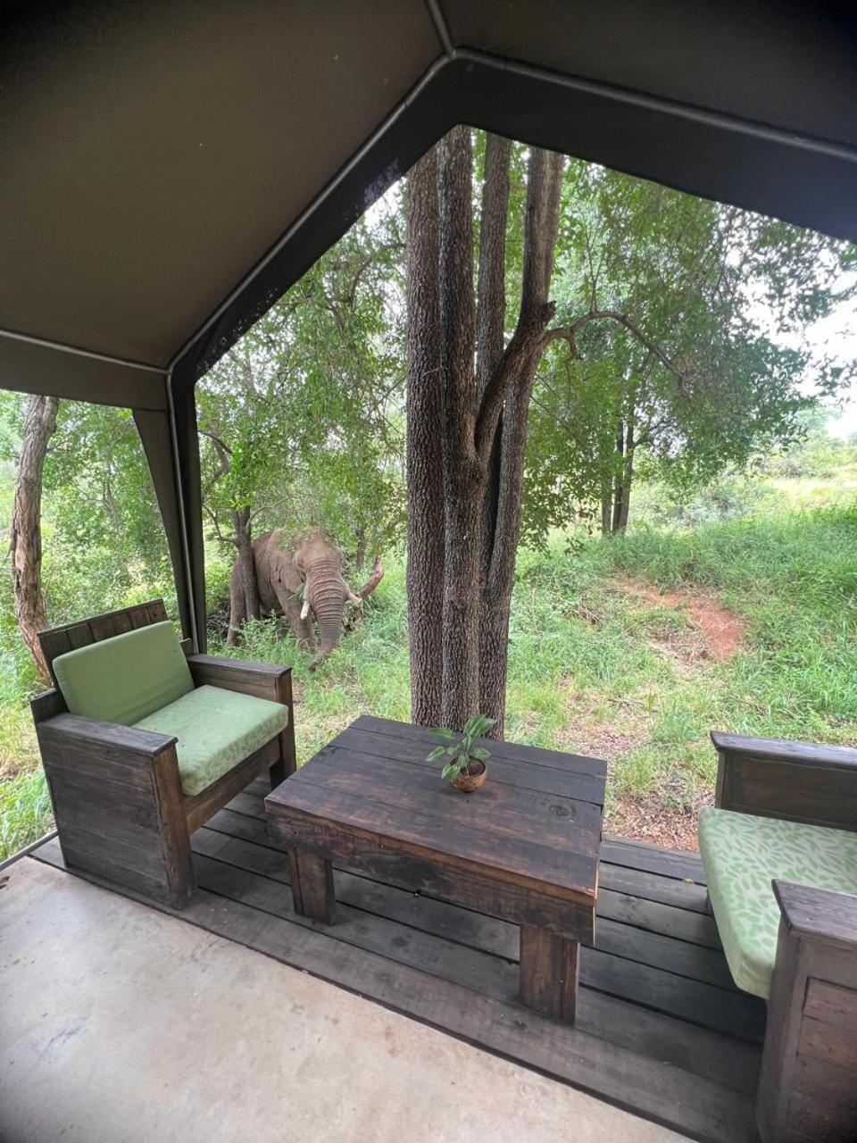 Hotel Ndzuti Bush Camp Balule Game Reserve Zewnętrze zdjęcie